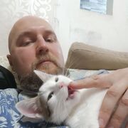 ���������� ����, ���� ������� ������, 42 ����, ������������ ��� ������, ����� � ���������, c�������� ���������, ���������