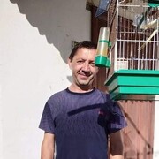  -,  , 52