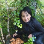 ���������� ���������, ���� ������� �������, 43 ����, ������������ ��� ������, ����� � ���������, c�������� ���������