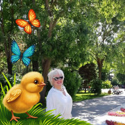 ���������� ����, ���� ������� �����, 65 ���, ������������ ��� ������, ����� � ���������, c�������� ���������