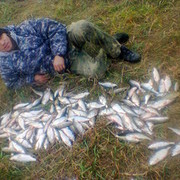 ���������� ���������, ���� ������� ������, 55 ���, ������������ ��� ������, ����� � ���������, c�������� ���������