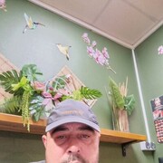 ���������� ������, ���� ������� ����, 45 ���, ������������ ��� ����� � ���������, c�������� ���������