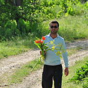  ,   Habib, 39 ,     , c 
