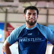 ���������� �����������, ���� ������� Bars mm, 33 ����, ������������ ��� ������, ����� � ���������, c�������� ���������, ���������