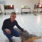 ,   , 29 ,     , c 