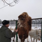 ����������, � ����� ����, ����� ������ (������!!!)��������.