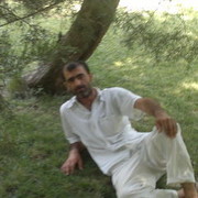  ,   , 51 ,   