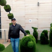 ���������� �����, ���� ������� �������, 39 ���, ������������ ��� c�������� ���������, ���������