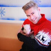 ���������� ������, ���� ������� ������, 31 ���, ������������ ��� ������, ����� � ���������, c�������� ���������, ���������