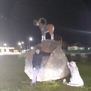  ,   , 38 ,   c 
