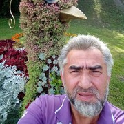 ���������� ������, ���� ������� �����, 49 ���, ������������ ��� ������, ����� � ���������