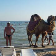 ���������� ������, ���� ������� ����, 53 ����, ������������ ��� ���������