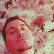  ,   , 31 ,  
