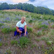 ���������� ��������, ���� ������� �����, 56 ���, ������������ ��� ������, ����� � ���������