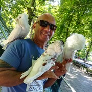 ���������� �����������, ���� ������� �������, 65 ���, ������������ ��� ������, ����� � ���������, c�������� ���������