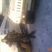 ���������� �������, ���� ������� �������, 38 ���, ������������ ��� ������, ����� � ���������, c�������� ���������