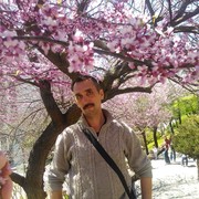  ,   , 53 ,   