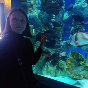 ���������� �����-���������, ���� ������� ���������, 40 ���, ������������ ��� ����� � ���������, c�������� ���������