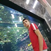 ���������� ������, ���� ����� ���������, 22 ����, ������������ ��� ������, ����� � ���������, c�������� ���������, ���������