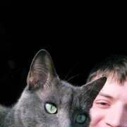 ���������� �����-���������, ���� ������� ������, 28 ���, ������������ ��� ����� � ���������, c�������� ���������, ���������