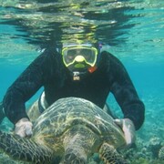 ���������� �������, ���� ������� ������, 32 ����, ������������ ��� ������, ����� � ���������