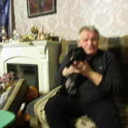  ,   Junior, 72 ,   