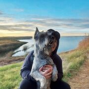 ���������� ���������, ������� ���, 31