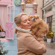 ���������� ������, ���� ������� ��������, 37 ���, ������������ ��� ����� � ���������, c�������� ���������