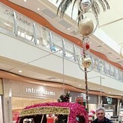  ,   , 57 ,   ,   