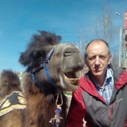  ,   , 53 ,  