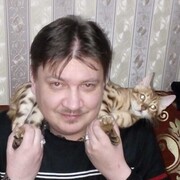 ���������� �����-���������, ���� ������� ����������, 48 ���, ������������ ��� c�������� ���������