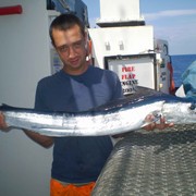 ���������� ���������, ���� ������� ������, 36 ���, ������������ ��� ����� � ���������, c�������� ���������