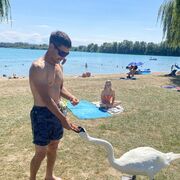  Pirmasens,   , 34 ,     , c , 