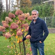  ,   , 70 ,   ,   