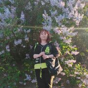 ���������� ��������, ���� ������� ������, 49 ���, ������������ ��� c�������� ���������