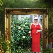 ���������� �����������, ���� ������� ��������, 71 ���, ������������ ��� ������, ����� � ���������