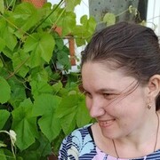 ���������� ������ ��������, ���� ������� ���, 34 ����, ������������ ��� ������