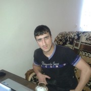  ,   Armo, 31 ,   ,   , c 