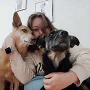  ,   Dor, 24 ,   ,   , c 