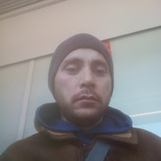  -,   , 38 ,  
