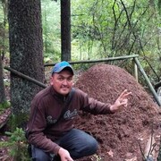 ���������� �����������, ���� ������� �����, 44 ����, ������������ ��� ������, ����� � ���������, c�������� ���������