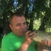  ,   , 55 ,   ,   