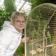 ���������� �������, ���� ������� �������, 41 ���, ������������ ��� c�������� ���������