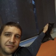 ���������� �����, ���� ������� �����, 42 ����, ������������ ��� ����� � ���������, c�������� ���������