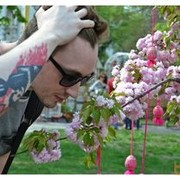 ���������� ����, ���� ������� Jan, 43 ����, ������������ ��� ������, ����� � ���������, c�������� ���������