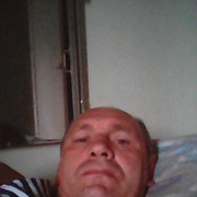  -,   , 51 ,   ,   , c 
