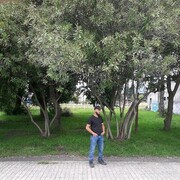  ,  , 24