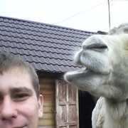 ���������� �������, ���� ������� ����, 36 ���, ������������ ��� ������, ����� � ���������, c�������� ���������