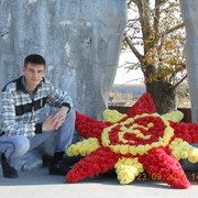 ���������� �������, ���� ������� �����, 38 ���, ������������ ��� ������, ����� � ���������, c�������� ���������