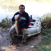  Veliko Turnovo,   Dimitar, 54 ,   ,   , c 